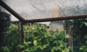 【夢占い】雨漏りの夢は信頼関係の揺らぎの暗示？夢占いをしてみよう