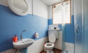 【夢占い】トイレの夢は吉夢!?詰まる・探すなどの意味