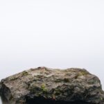 【夢占い】大きな石が降ってくる夢の意味と解説