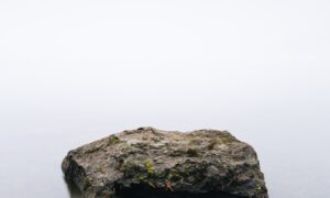 【夢占い】大きな石が降ってくる夢の意味と解説